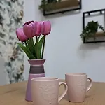 Apartamento Sa Garazom I Internetom *