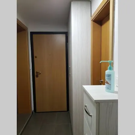 Sa Garazom I Internetom Daire