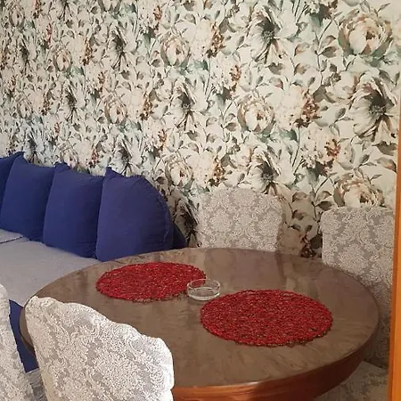 Sa Garazom I Internetom Daire