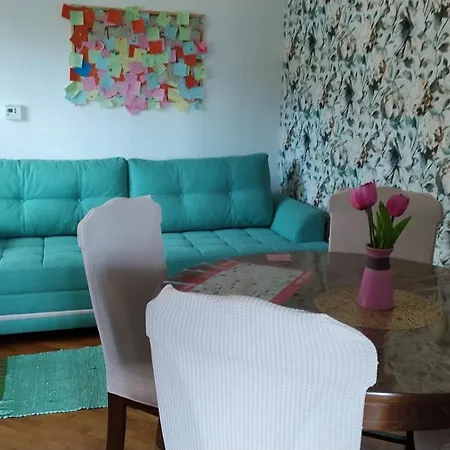 Sa Garazom I Internetom Daire