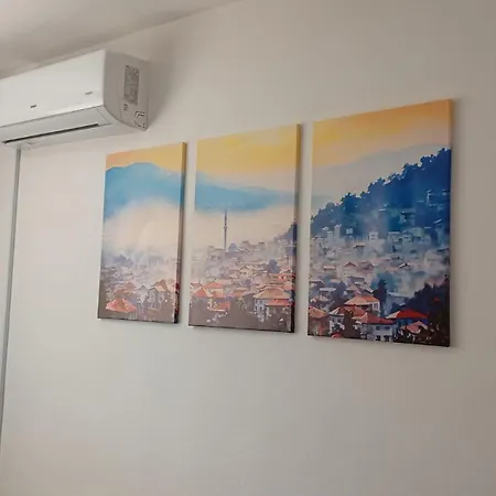 Sa Garazom I Internetom *