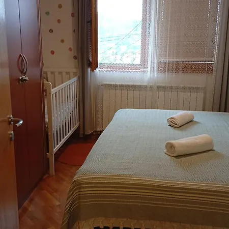 Sa Garazom I Internetom *