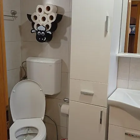 Sa Garazom I Internetom דירה סראייבו