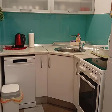 Sa Garazom I Internetom