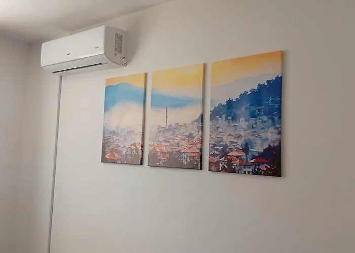 Sa Garazom I Internetom *