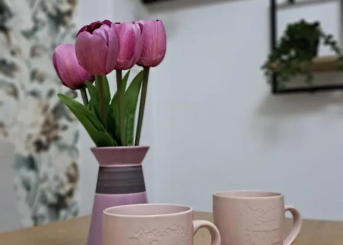 아파트 Sa Garazom I Internetom *