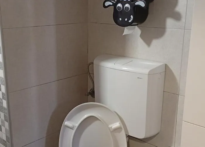 Sa Garazom I Internetom *